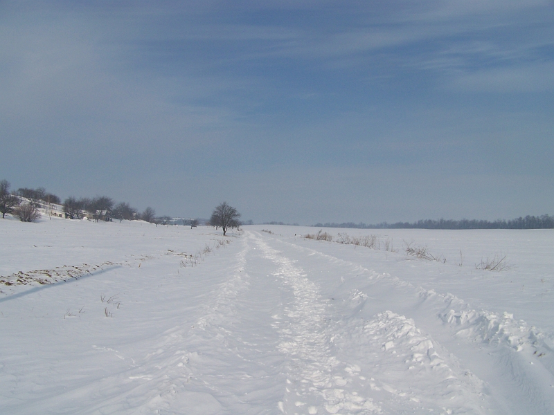2012.02.09. 060.jpg